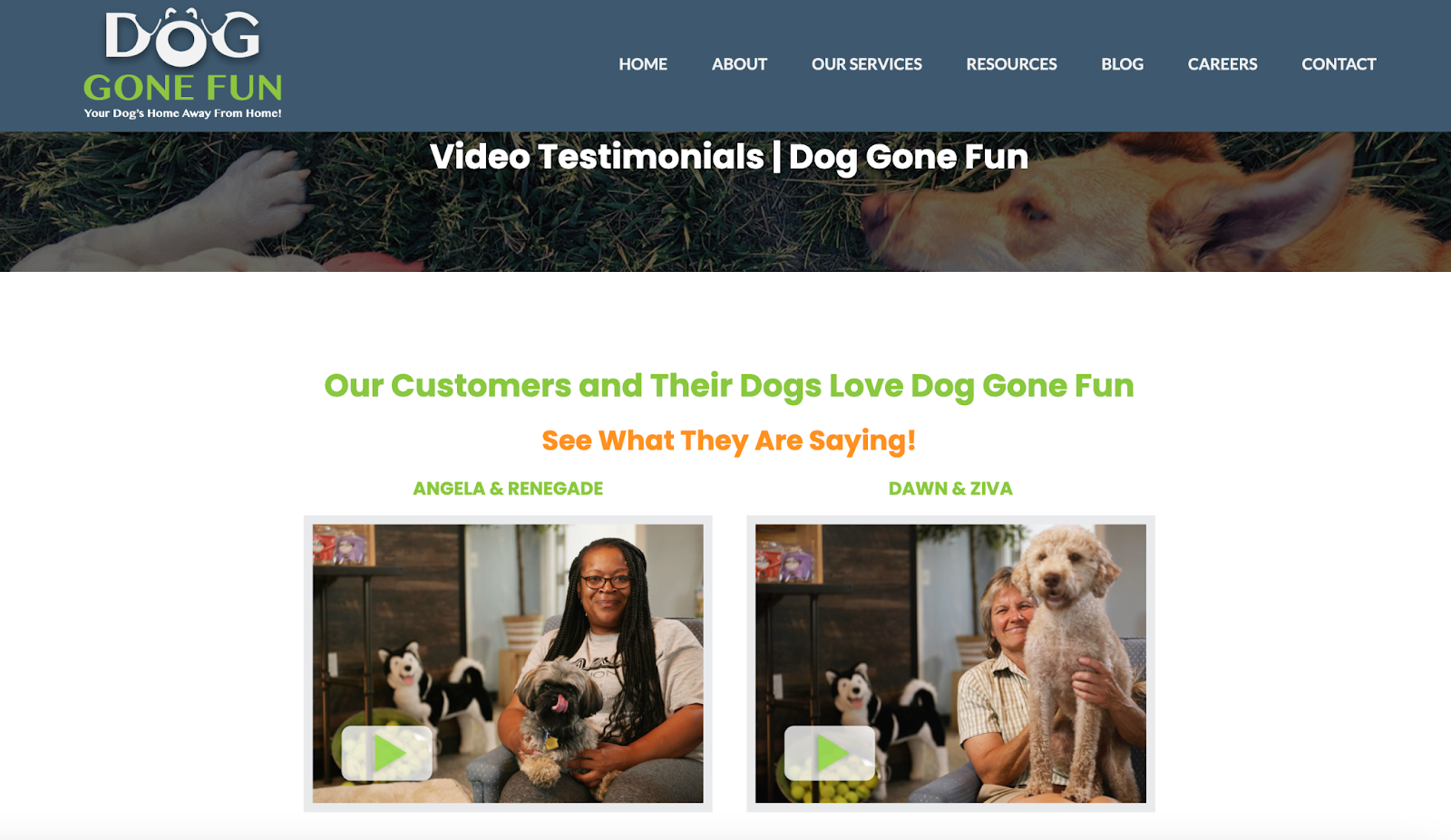 Dog Gone Fun Testimonials